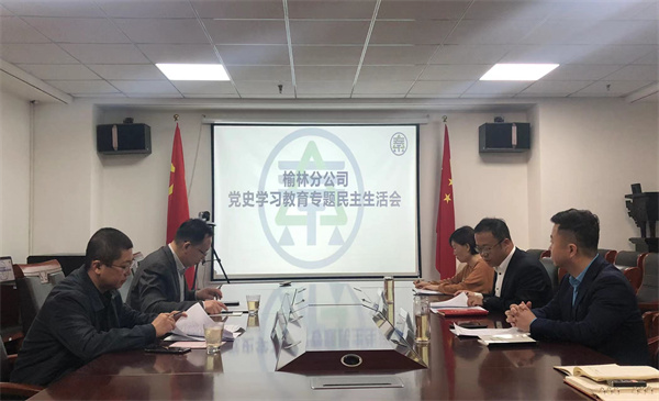 榆林分公司開展黨史學習教育專題民主生活會.jpg